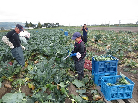 北海道農業体験学習