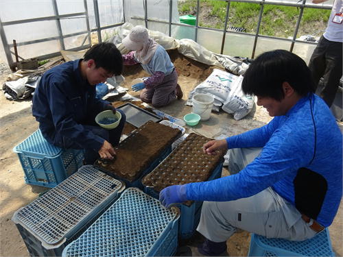 北海道農業体験学習