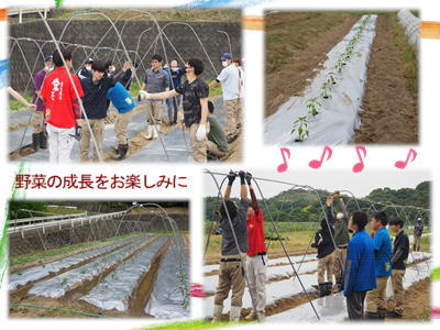 夏野菜（果菜類）の定植作業！