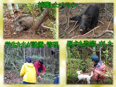 実践！！「鳥獣害対策」