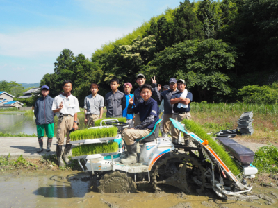 田植を行いました