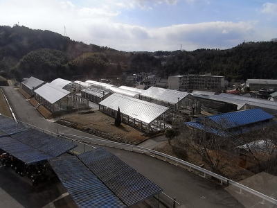 青い屋根が花き現場教室です。道路沿いの2棟が切り花ハウスと鉢物ハウスです。