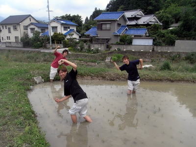 手植えで補植もします。田んぼの中って、結構気持ちいいものです。