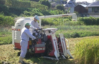 田植え、稲刈りは貴重な実習の場です。田植え機やトラクターの操作を実践的に学ぶことができます。